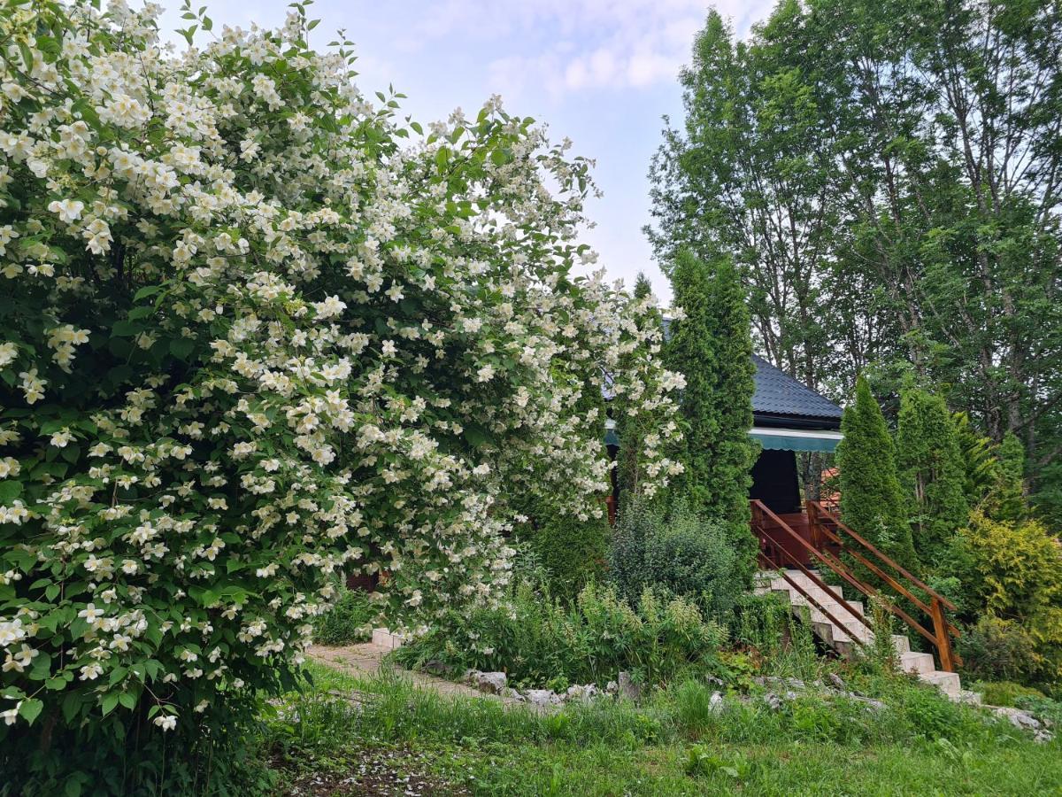 Вилла House Poljana Плитвицкие озёра Экстерьер фото